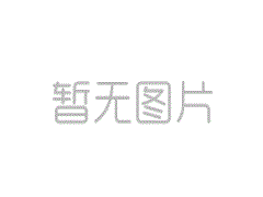 五葉楓樹(shù)3公分價(jià)格