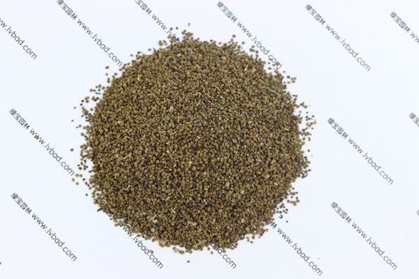 <a href='http://0755tehao.com/caohuazhongzi/1022.html' target='_blank'>半枝蓮</a><a href='http://0755tehao.com/' target='_blank'>種子</a>