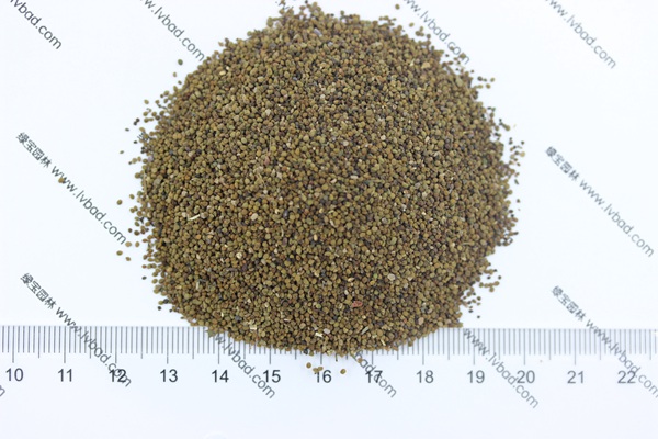 半枝蓮<a href='http://0755tehao.com/' target='_blank'>種子</a>