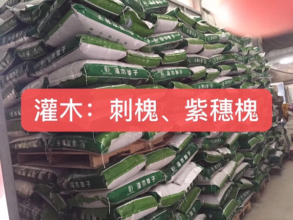 <a href='http://0755tehao.com/linmuzhongzi/16015.html' target='_blank'>刺槐</a><a href='http://0755tehao.com/' target='_blank'>種子</a>