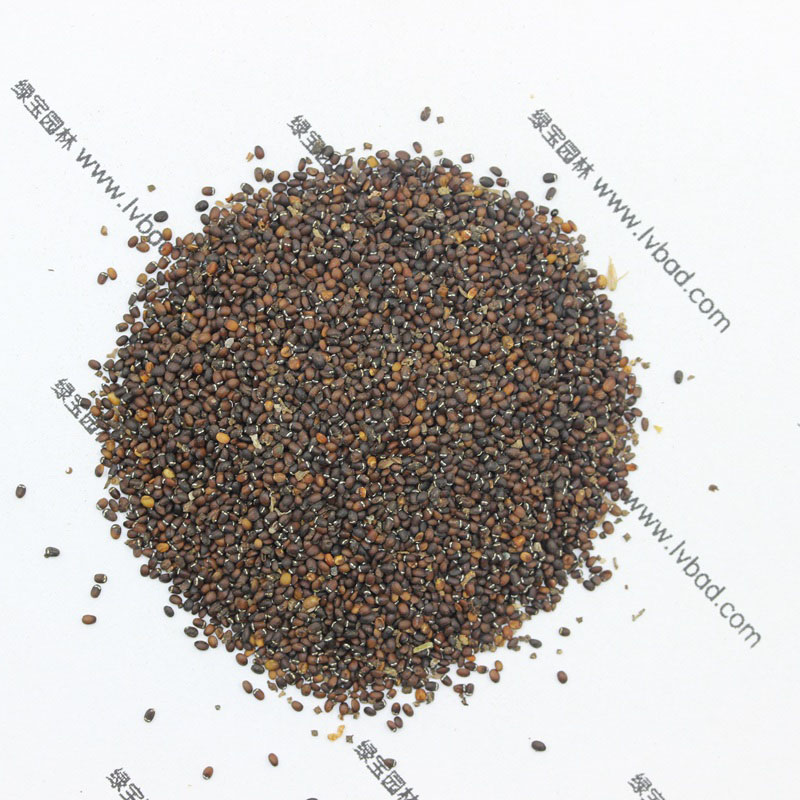 <a href='http://0755tehao.com/caohuazhongzi/1023.html' target='_blank'>薄荷</a><a href='http://0755tehao.com/' target='_blank'>種子</a>